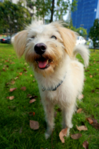 %e5%9b%be%e7%89%871asdasd