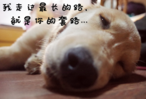 %e5%9b%be%e7%89%871dsfasdf