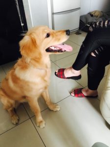 img_1067_%e7%88%b1%e5%a5%87%e8%89%ba