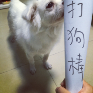 %e5%9b%be%e7%89%871sdsd