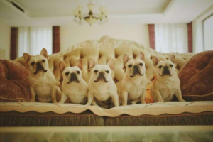 %e5%9b%be%e7%89%871gjhgjghj