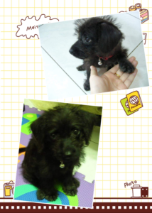 %e5%9b%be%e7%89%871jkjkjk