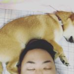 IMG_7628-e1449645219352-768x1024